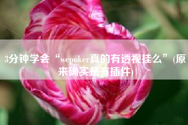 3分钟学会“wepoker真的有透视挂么”(原来确实是有插件)