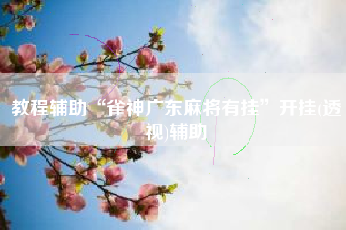 教程辅助“雀神广东麻将有挂”开挂(透视)辅助