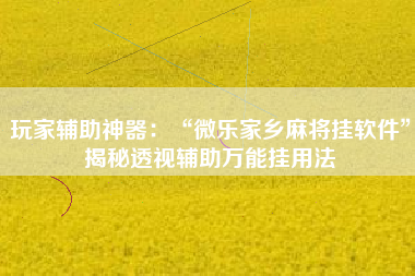 玩家辅助神器：“微乐家乡麻将挂软件”揭秘透视辅助万能挂用法