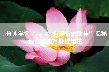 3分钟学会“wepoker有没有辅助挂”揭秘透视辅助万能挂用法