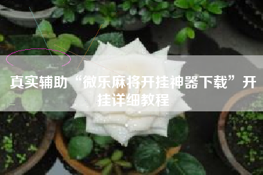 真实辅助“微乐麻将开挂神器下载”开挂详细教程