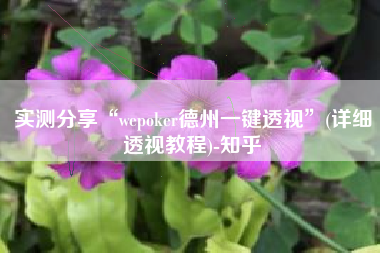实测分享“wepoker德州一键透视	”(详细透视教程)-知乎