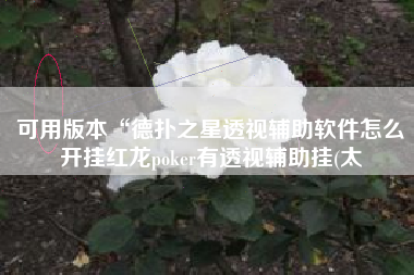 可用版本“德扑之星透视辅助软件怎么开挂红龙poker有透视辅助挂(太 可用版本“德扑之星透视辅助软件怎么开挂红龙poker有透视辅助挂(太