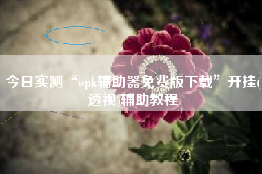 今日实测“wpk辅助器免费版下载”开挂(透视)辅助教程