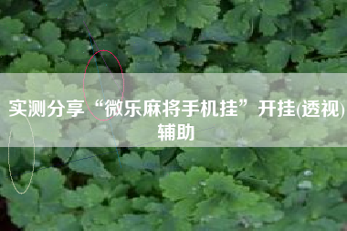 实测分享“微乐麻将手机挂”开挂(透视)辅助
