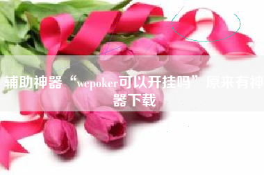 辅助神器“wepoker可以开挂吗	”原来有神器下载