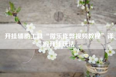 开挂辅助工具“微乐作弊视频教程”详细开挂玩法