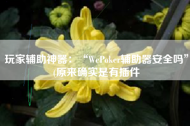 玩家辅助神器：“WePoker辅助器安全吗”(原来确实是有插件