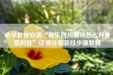 必学教你安装“微乐四川麻将怎么开免费的挂”详细分享装挂步骤教程