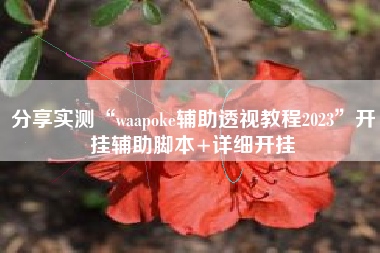 分享实测“waapoke辅助透视教程2023”开挂辅助脚本+详细开挂