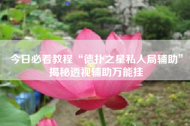 今日必看教程“德扑之星私人局辅助”揭秘透视辅助万能挂