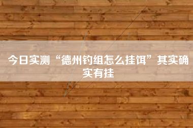 今日实测“德州钓组怎么挂饵	”其实确实有挂