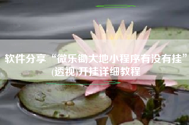 软件分享“微乐锄大地小程序有没有挂	”(透视)开挂详细教程