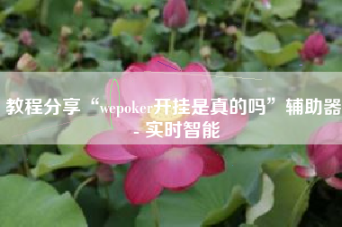 教程分享“wepoker开挂是真的吗”辅助器 - 实时智能