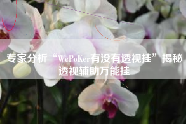 专家分析“WePoKer有没有透视挂	”揭秘透视辅助万能挂