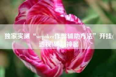 独家实测“wepoker作弊辅助方法”开挂(透视)辅助神器