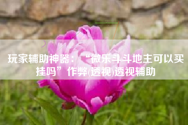 玩家辅助神器：“微乐斗斗地主可以买挂吗”作弊(透视)透视辅助