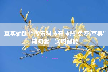 真实辅助“微乐科技开挂器(免费)苹果”辅助器 - 实时智能