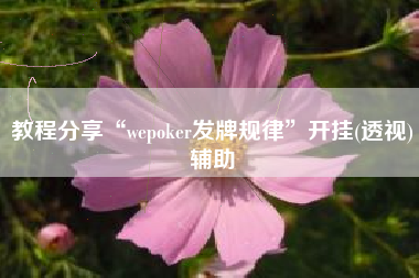教程分享“wepoker发牌规律	”开挂(透视)辅助