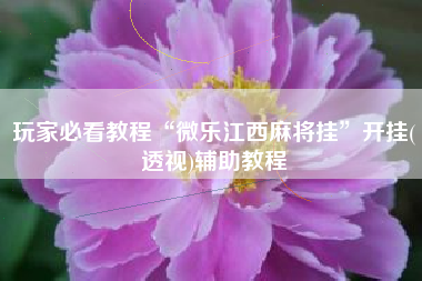 玩家必看教程“微乐江西麻将挂”开挂(透视)辅助教程
