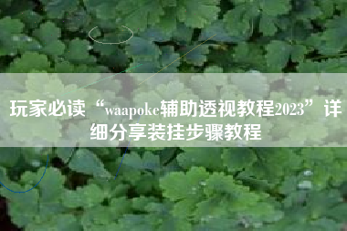 玩家必读“waapoke辅助透视教程2023”详细分享装挂步骤教程