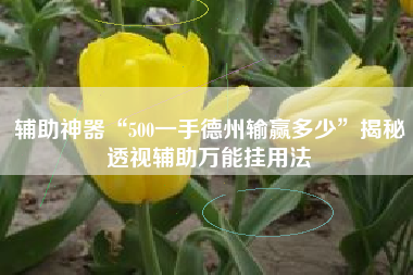 辅助神器“500一手德州输赢多少	”揭秘透视辅助万能挂用法