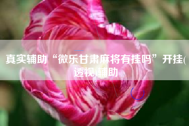 真实辅助“微乐甘肃麻将有挂吗”开挂(透视)辅助