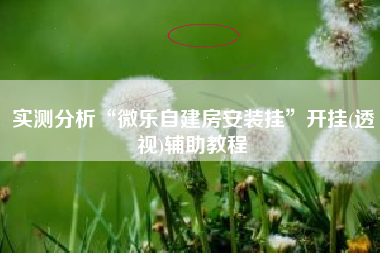 实测分析“微乐自建房安装挂”开挂(透视)辅助教程
