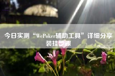 今日实测“WePoker辅助工具”详细分享装挂步骤