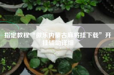 指定教程“微乐内蒙古麻将挂下载	”开挂辅助详细