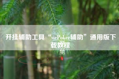 开挂辅助工具“wePoker辅助	”通用版下载教程