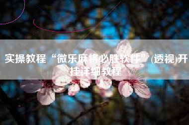 实操教程“微乐麻将必胜软件”(透视)开挂详细教程