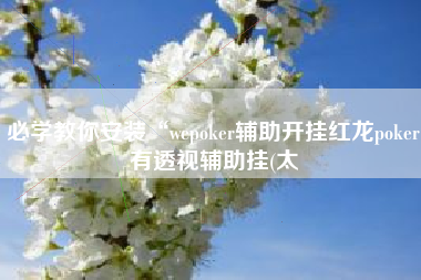 必学教你安装“wepoker辅助开挂红龙poker有透视辅助挂(太 必学教你安装“wepoker辅助开挂红龙poker有透视辅助挂(太