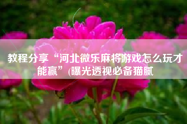 教程分享“河北微乐麻将游戏怎么玩才能赢”(曝光透视必备猫腻