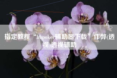 指定教程“hhpoker辅助器下载”作弊(透视)透视辅助