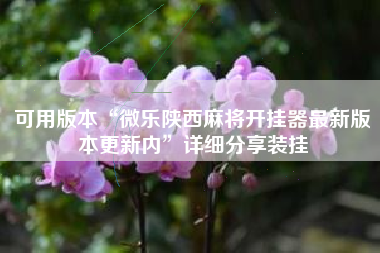 可用版本“微乐陕西麻将开挂器最新版本更新内”详细分享装挂