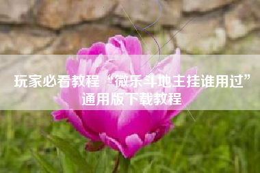 玩家必看教程“微乐斗地主挂谁用过”通用版下载教程