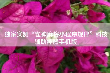 独家实测“雀神麻将小程序规律”科技辅助神器手机版