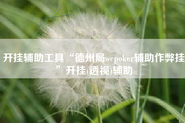 开挂辅助工具“德州局wepoker辅助作弊挂	”开挂(透视)辅助