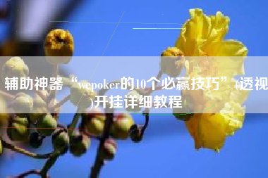 辅助神器“wepoker的10个必赢技巧”(透视)开挂详细教程
