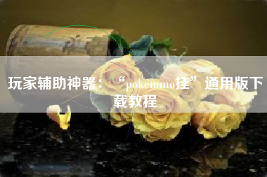 玩家辅助神器：“pokemmo挂	”通用版下载教程
