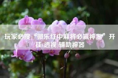 玩家必搜“微乐红中麻将必赢神器”开挂(透视)辅助神器