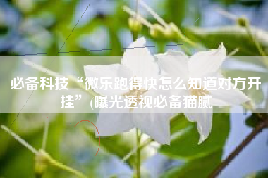 必备科技“微乐跑得快怎么知道对方开挂	”(曝光透视必备猫腻