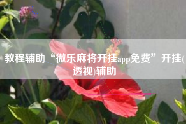 教程辅助“微乐麻将开挂app免费”开挂(透视)辅助