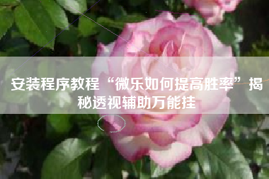 安装程序教程“微乐如何提高胜率”揭秘透视辅助万能挂