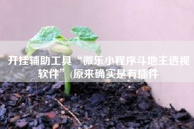 开挂辅助工具“微乐小程序斗地主透视软件”(原来确实是有插件
