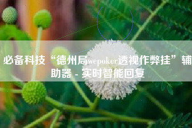 必备科技“德州局wepoker透视作弊挂”辅助器 - 实时智能回复