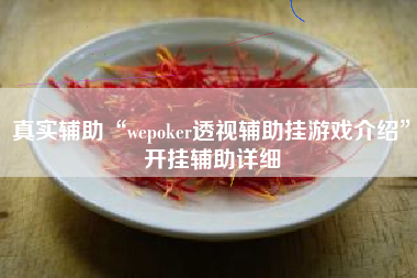 真实辅助“wepoker透视辅助挂游戏介绍	”开挂辅助详细