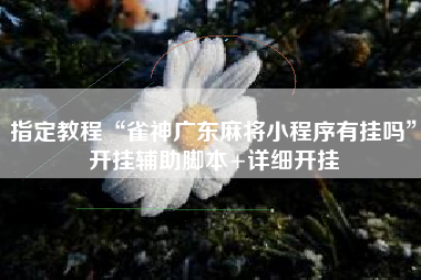 指定教程“雀神广东麻将小程序有挂吗”开挂辅助脚本+详细开挂