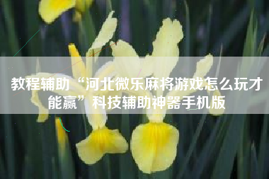 教程辅助“河北微乐麻将游戏怎么玩才能赢”科技辅助神器手机版